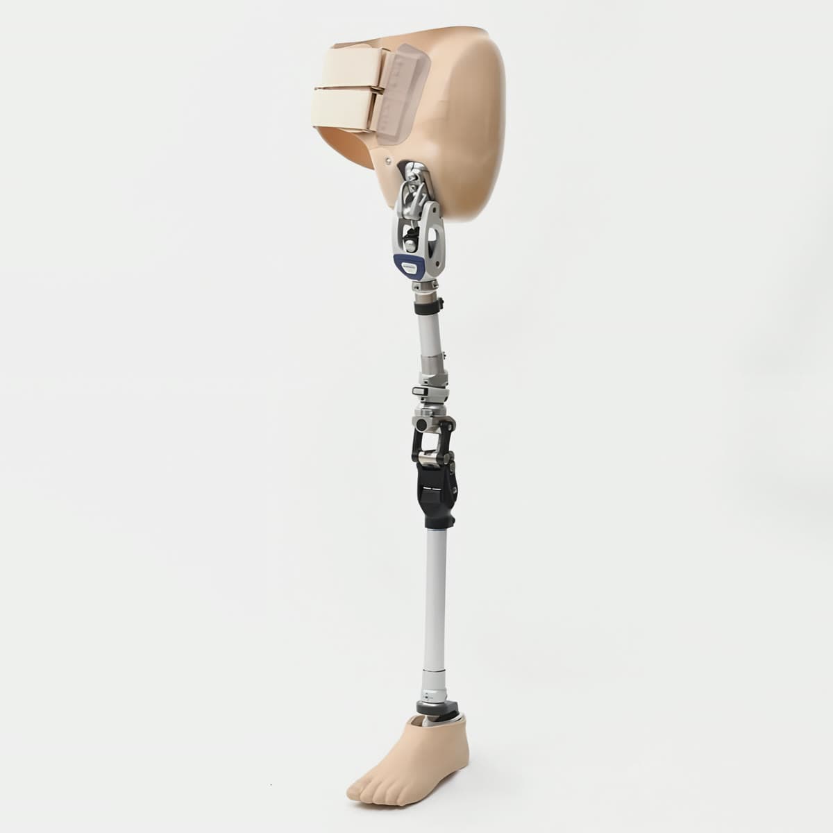 Hip Disarticulation Prosthesis